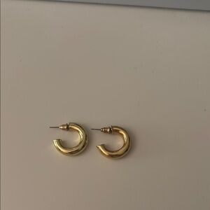 Elegant Gold Hoop Earrings